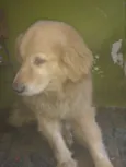 Mel