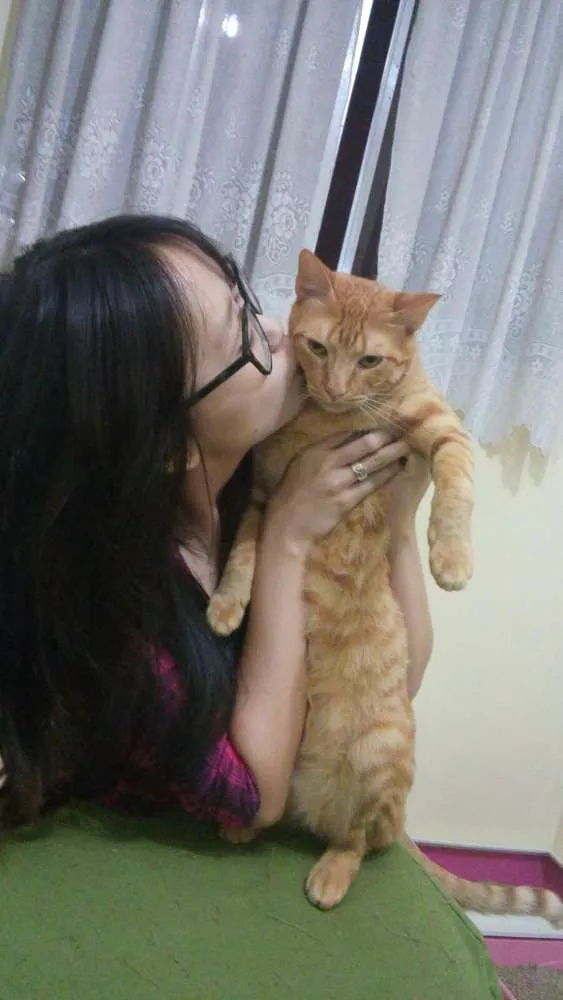 Gato ra a Tigrado idade 3 anos nome Charlie
