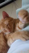 Charlie