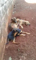 Cronos,pretinha,big