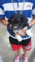Sem nomeio