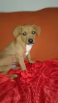 MENINO 2