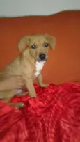 MENINO 2