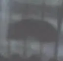 Cachorro ra a vira lata idade 7 a 11 meses nome chitara