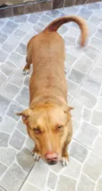 Penélope 