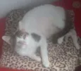 doçura