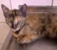 Mimi