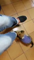 não sei