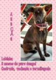LOBINHA 