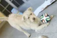 Billy