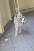 Billy