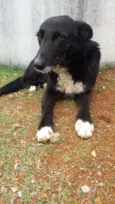 Bonita