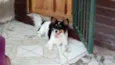 Billy