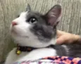 Sid