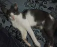 Sid