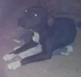 PRETA
