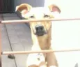Lupita