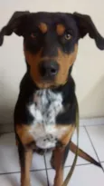 Spike
