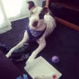 Ragnar