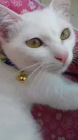 Lili