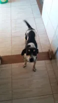 NALA 