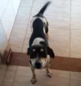NALA 