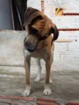 spike