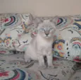 Sally