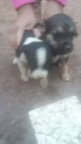 Não tem nomes