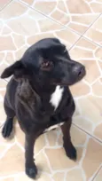 Neguinha