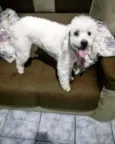 Molly