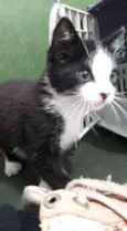 Zeus