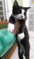 Zeus