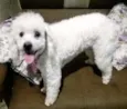 Molly