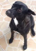 Neguinha