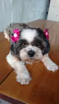 Florzinha