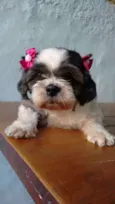 Florzinha