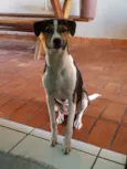 Nina