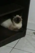 maggie