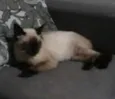 maggie