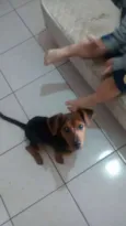 BRUCE