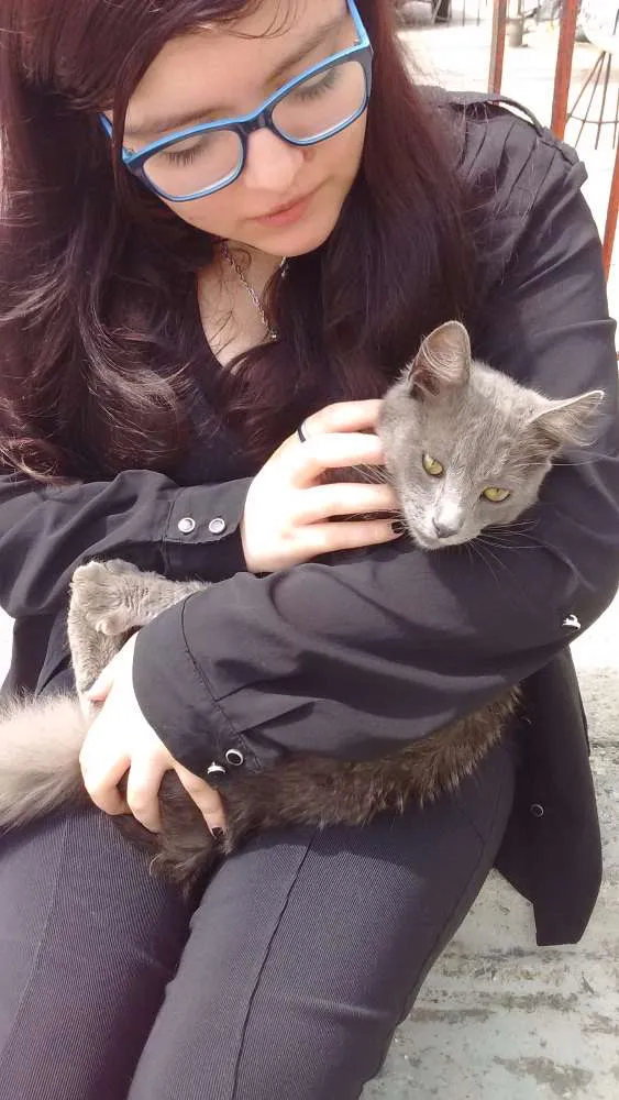 Gato ra a Não sabemos idade 7 a 11 meses nome Apelidamos de nego