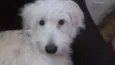 Maggie
