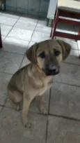 Nina