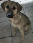 Nina