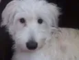 Maggie