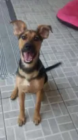 Milla