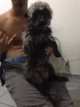 Spaike