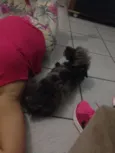 Spaike