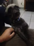 Spaike